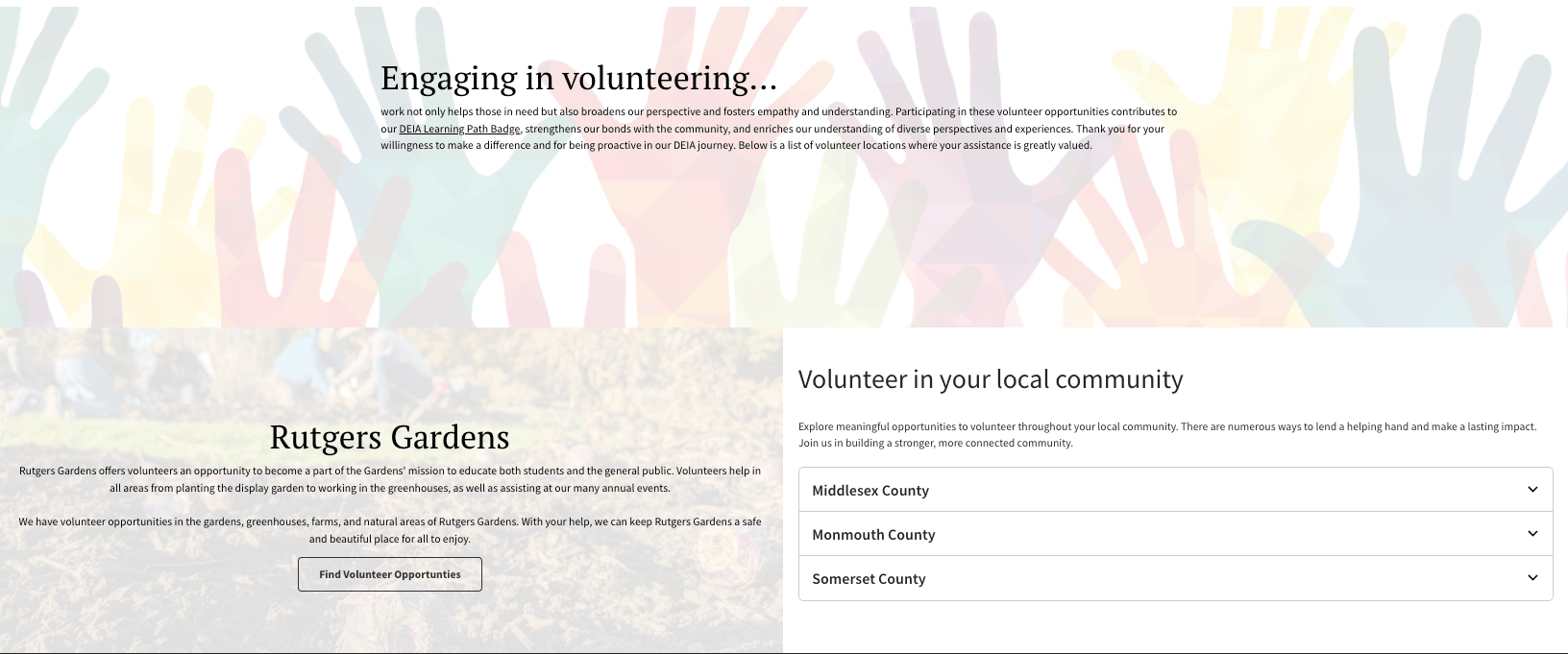 Content templates showing various page layouts and design patterns
